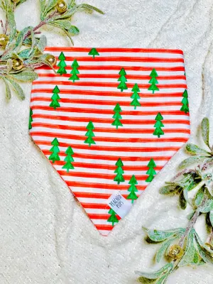 Candy Cane Forest