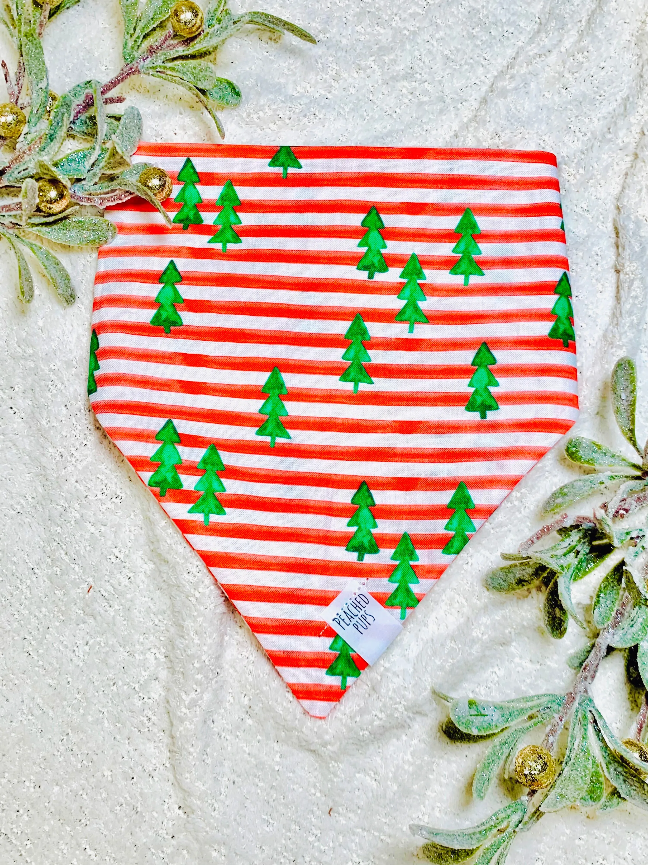 Candy Cane Forest