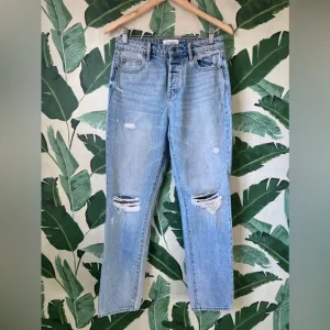 Carly Jean Los Angeles Topanga Distressed Boyfriend Jeans Size 3 28