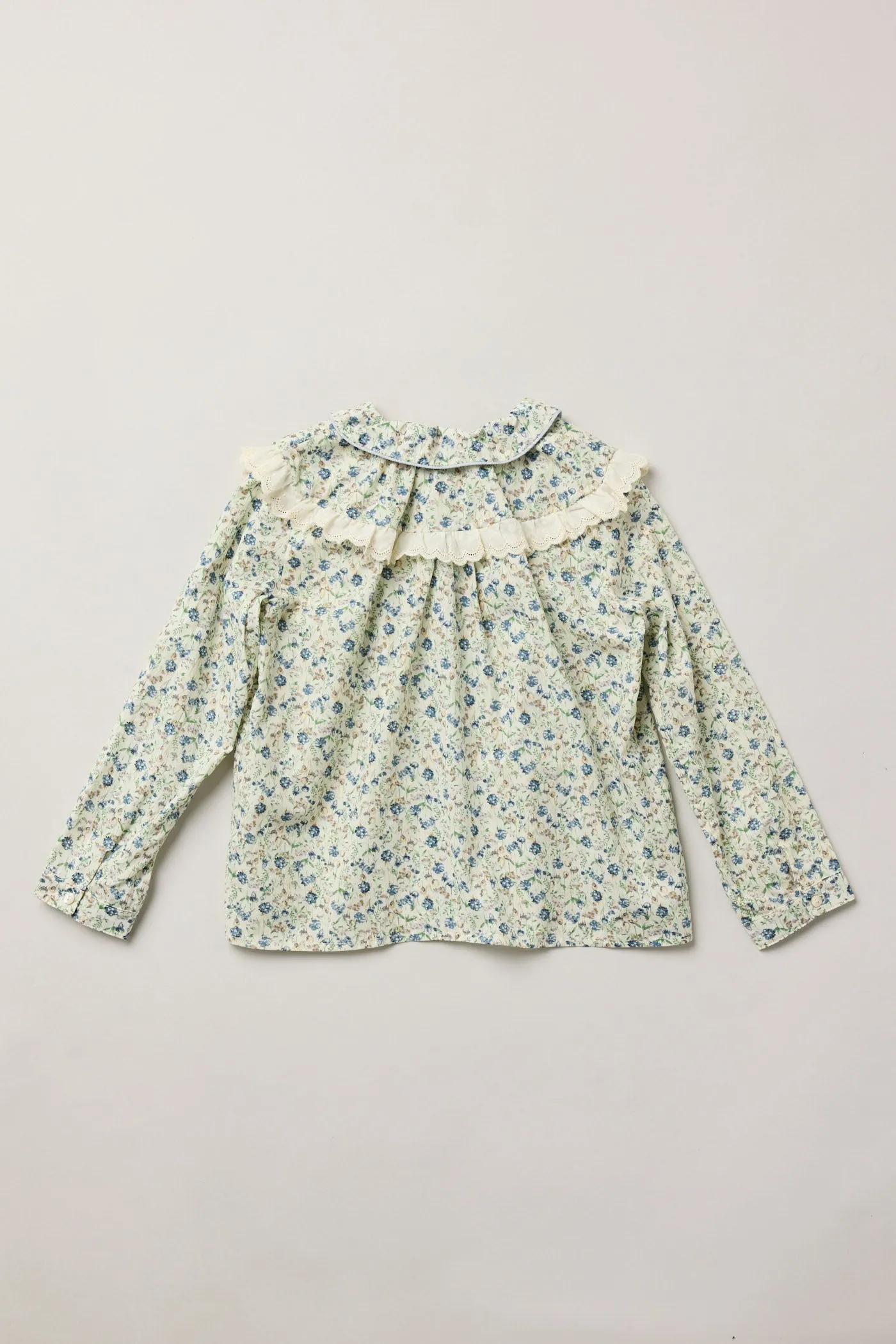 Cranberry Blouse Hydrangea Blooms