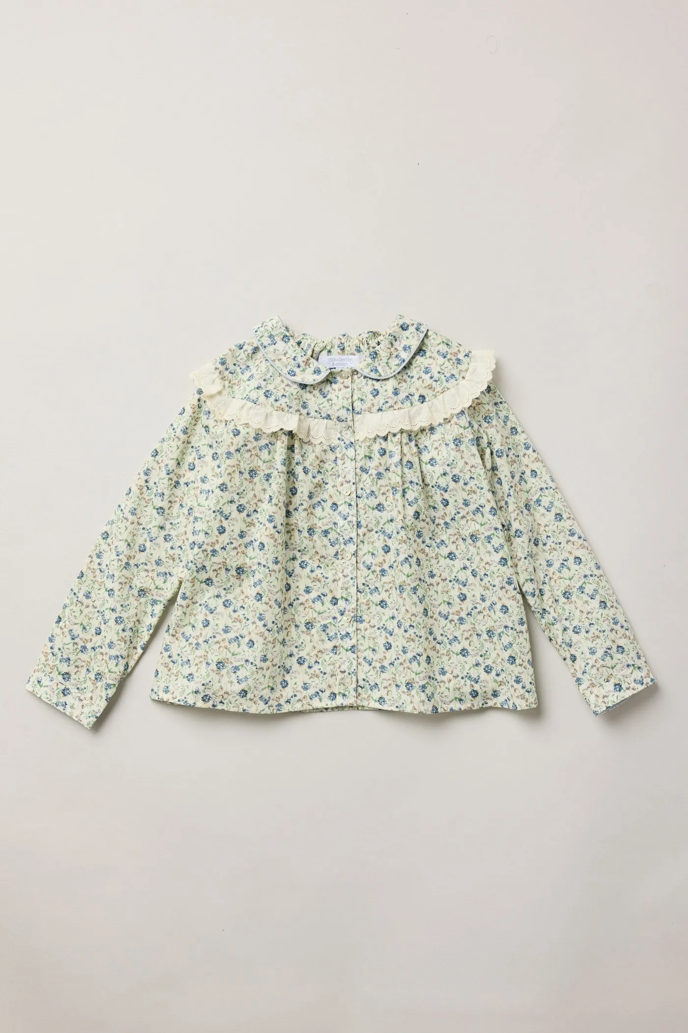 Cranberry Blouse Hydrangea Blooms