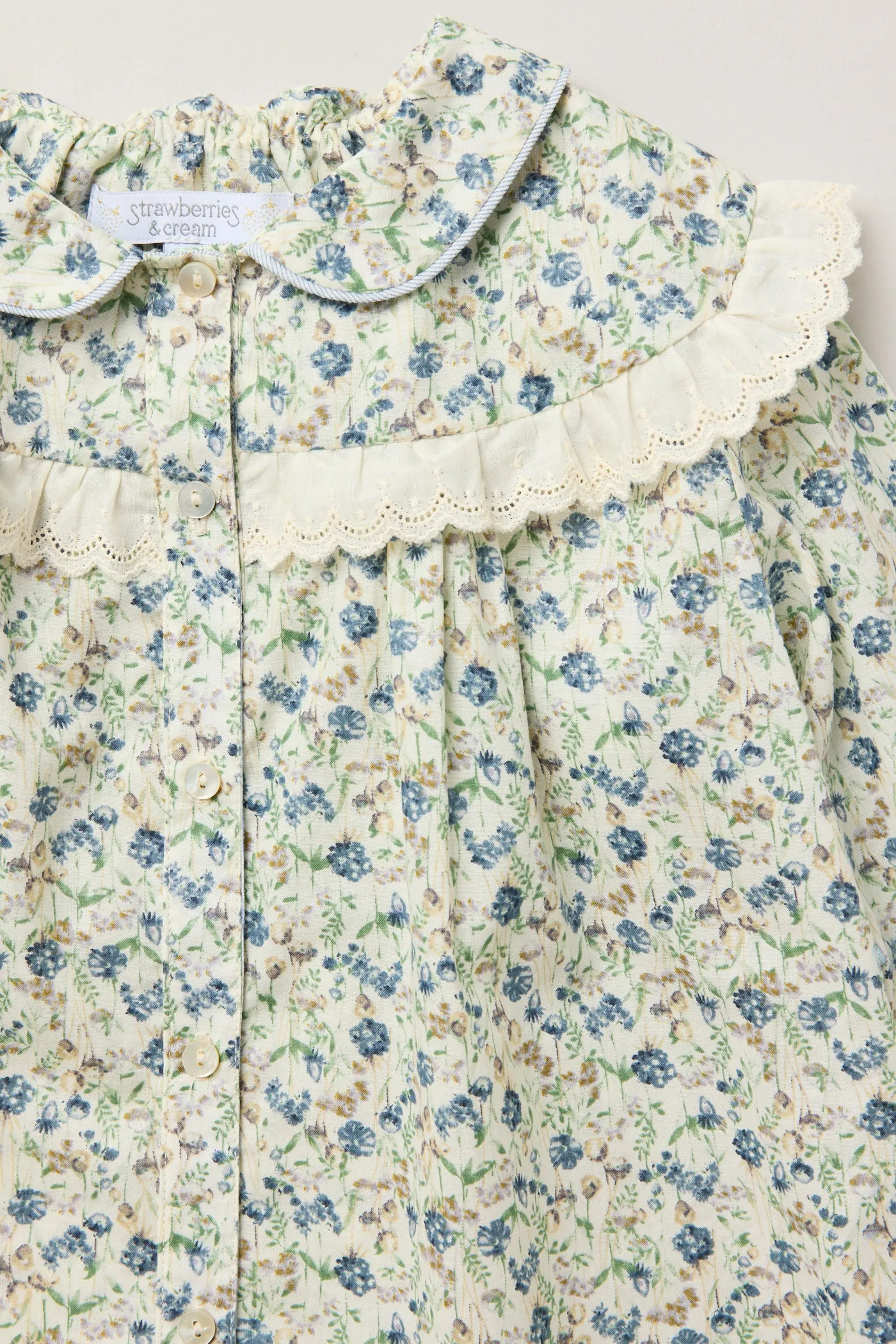 Cranberry Blouse Hydrangea Blooms