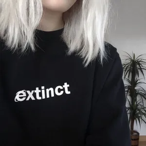 Extinct Sweatshirt 90s Internet Explorer Vaporwave Tumblr Inspired Sweatshirts Pale Pastel Grunge Aesthetic Black Grid