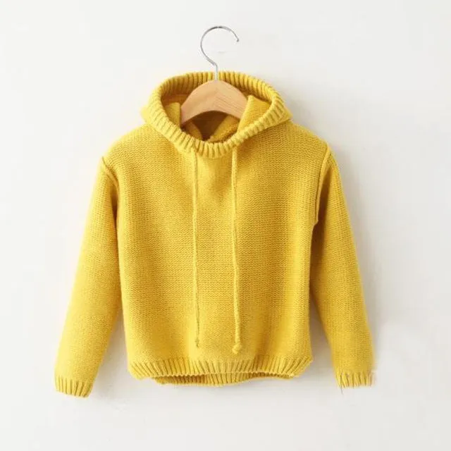 Kids Hooded Sweater
