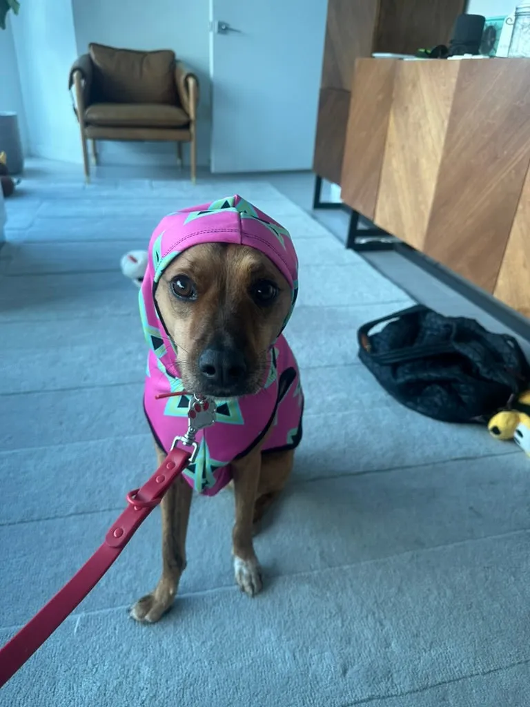 Magan Green David Pattern on Hot Pink Pet Hoodie