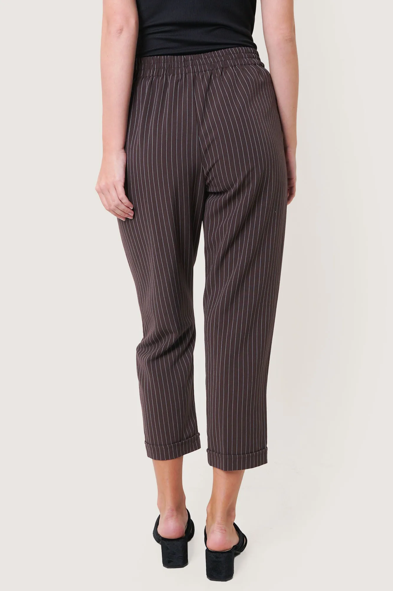 Pinstriped Ankle-Length Pull Up Trousers with Tie