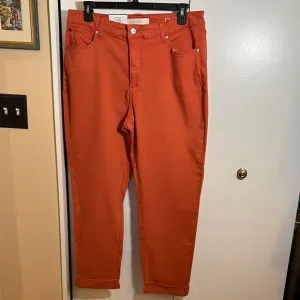 Slink Boyfriend Jeans in Rust size 18