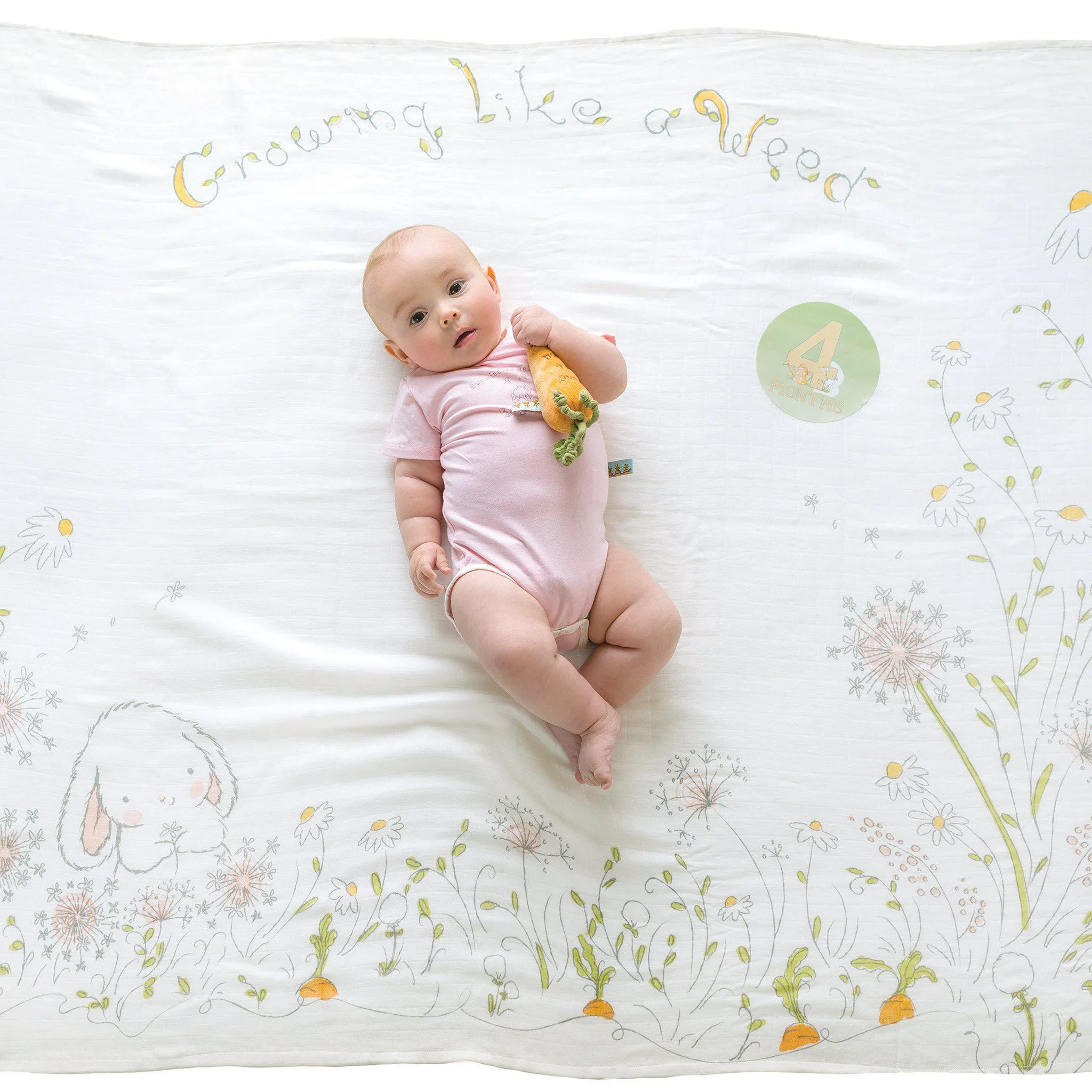 Sweet Milestones and Memories Gift Set